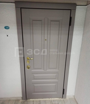 Усиленная шпонированная дверь окрас по RAL